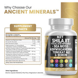 Shilajit Capsules My Store