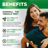 Moringa Leaf Capsules My Store